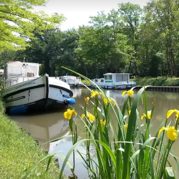Canal du midi, herault, marseillan